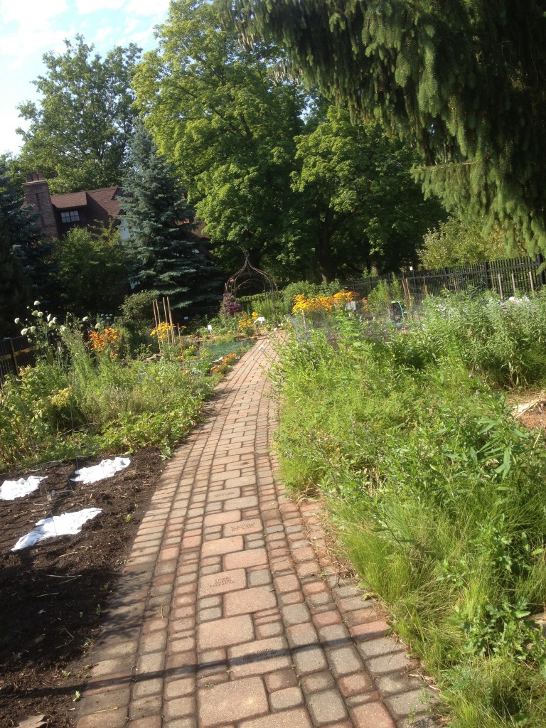 Hanna Perkins Butterfly Garden community garden 1 0812 768x1024 Hanna Perkins Butterfly Garden