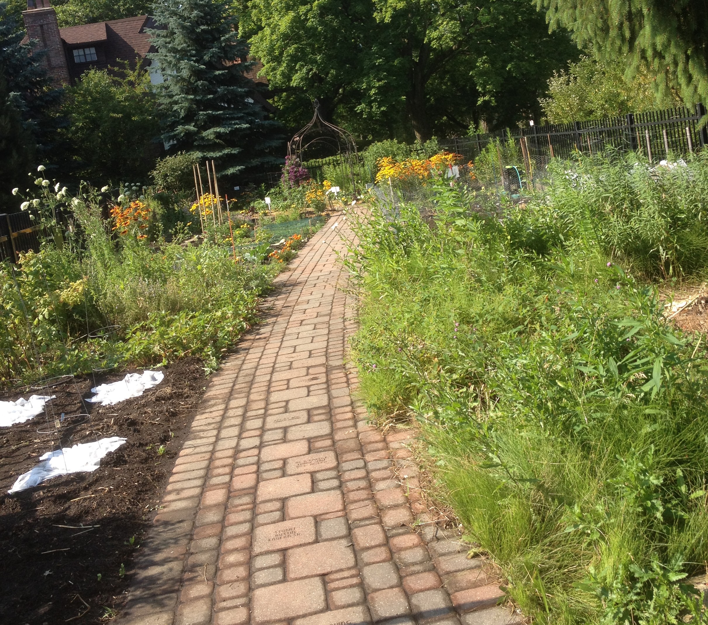 C Learning Garden